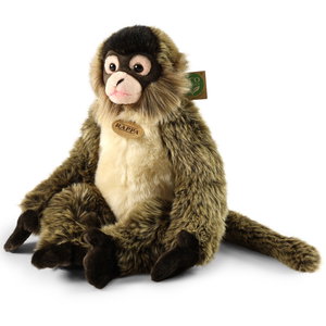 Плюшена Паякообразна Маймуна Rappa