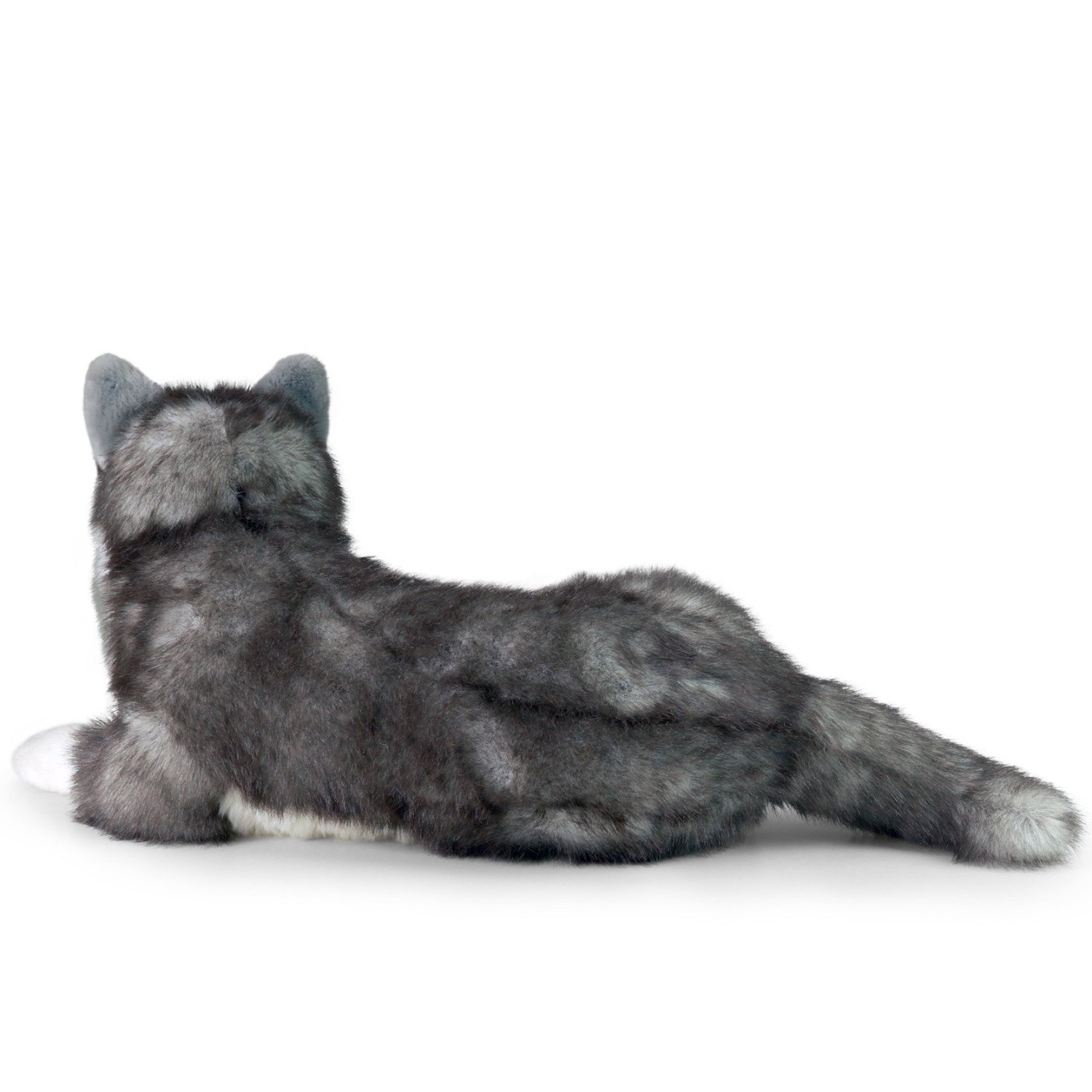 Плюшено куче Хъски Rappa