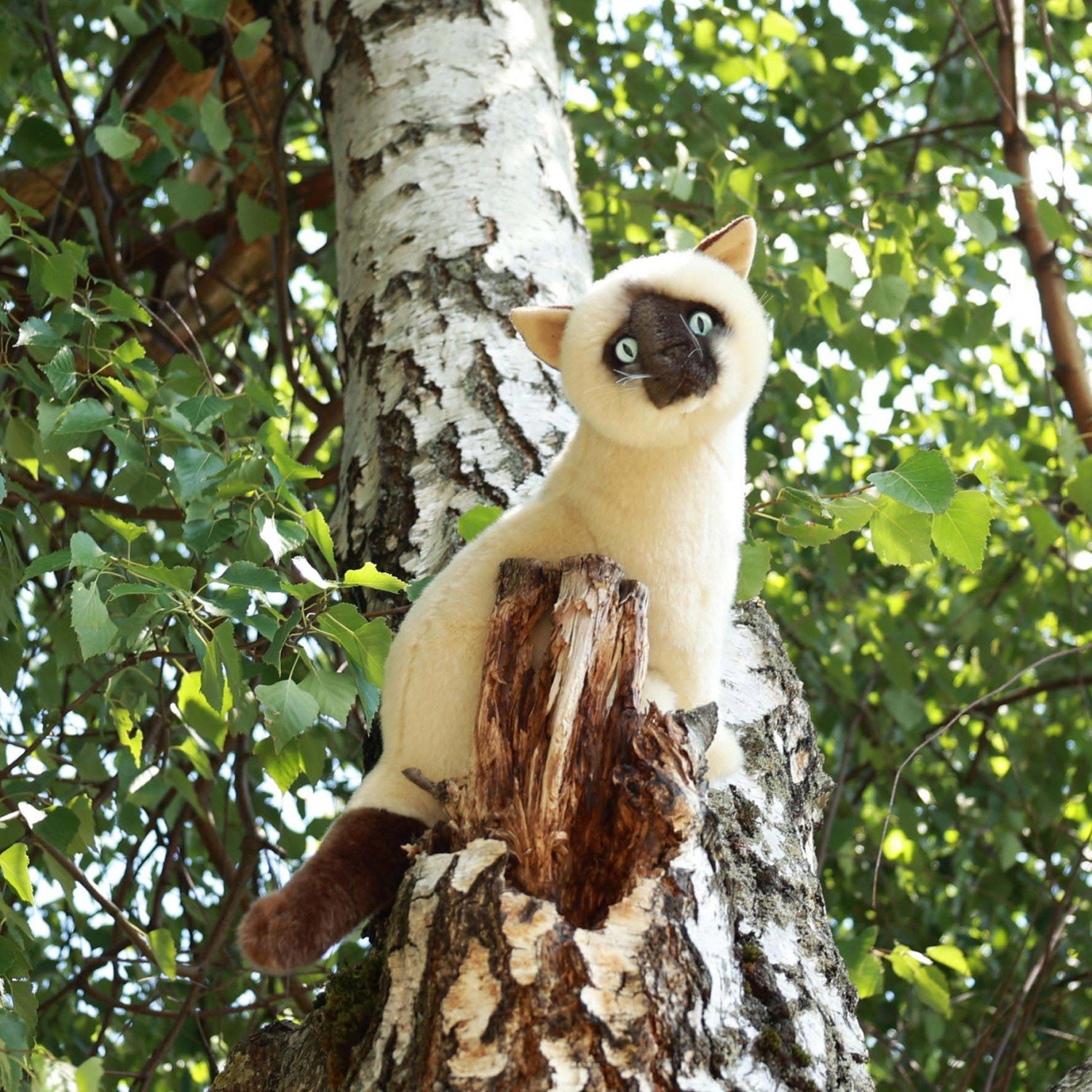 Плюшена котка Сиамка Rappa