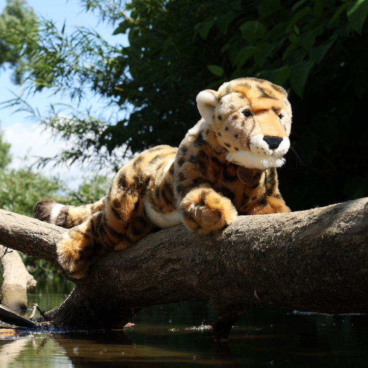 Плюшен Гепард Rappa