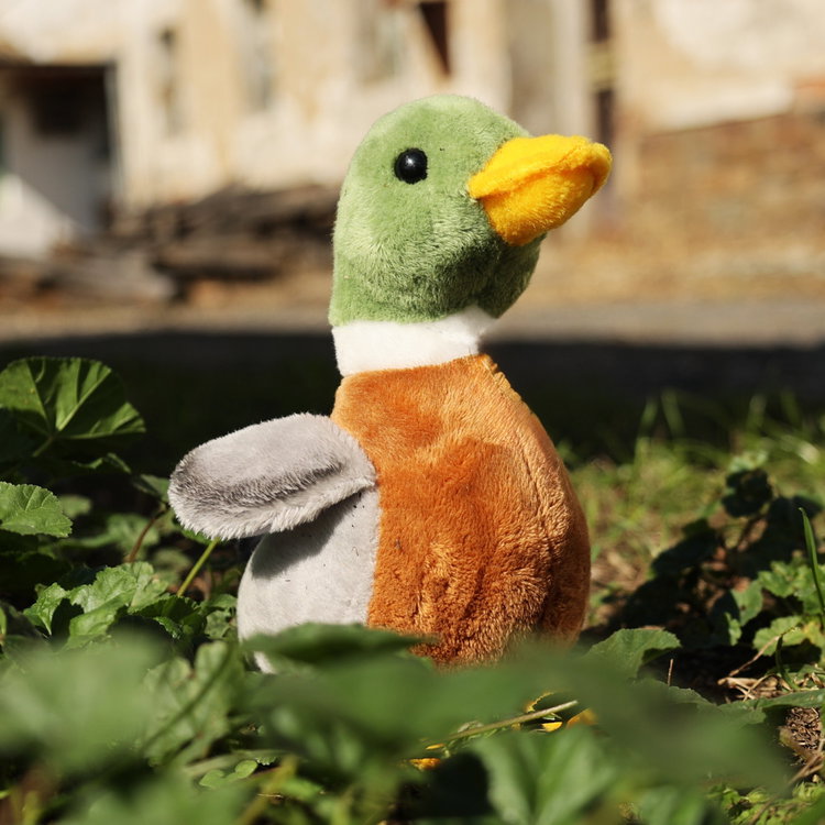 Плюшена Дива патица бебе Rappa