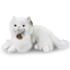 Плюшена Персийска котка Rappa