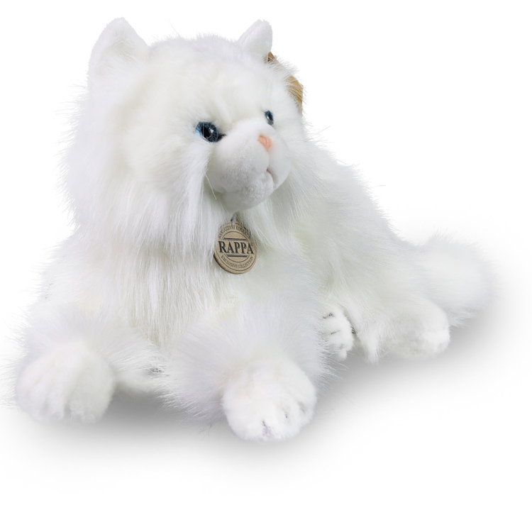 Плюшена Персийска котка Rappa