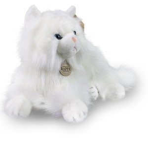 Плюшена Персийска котка Rappa