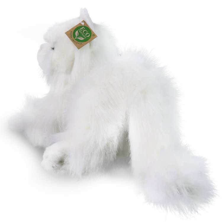 Плюшена Персийска котка Rappa