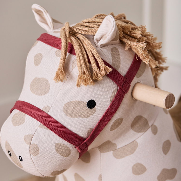 Люлеещо се конче Доти