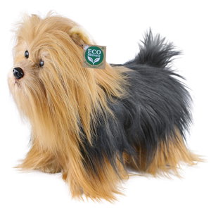 Плюшено куче Йоркширски териер Rappa