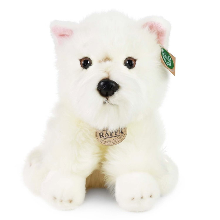 Плюшено куче Уест хайланд териер Rappa