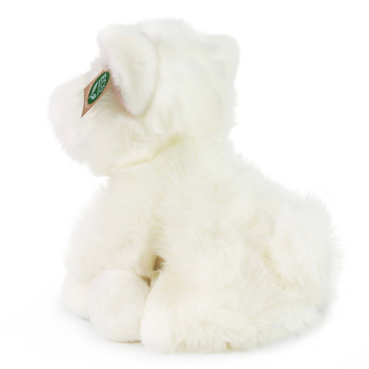 Плюшено куче Уест хайланд териер Rappa