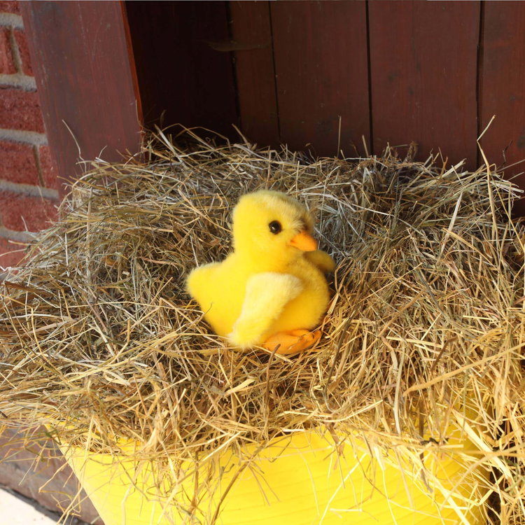 Плюшено пиленце Rappa