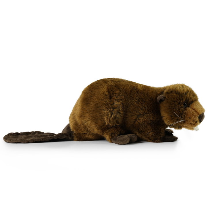 Плюшен Бобър Rappa