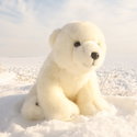 Плюшено Полярно Мече Rappa