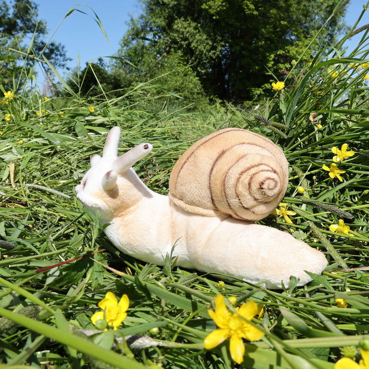 Плюшен Охлюв Rappa