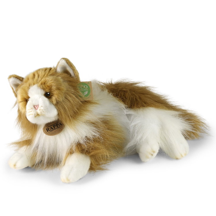 Плюшена Персийска котка Rappa