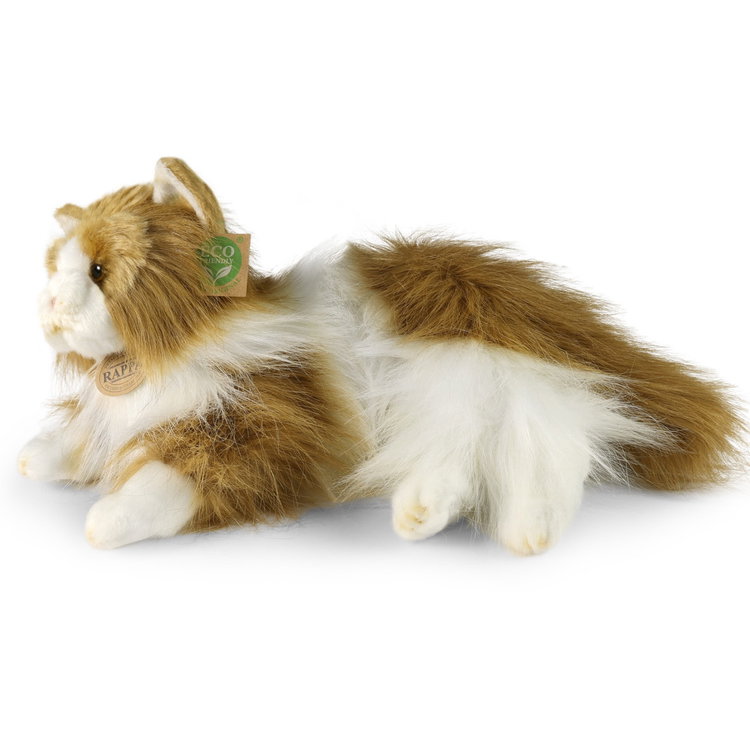 Плюшена Персийска котка Rappa