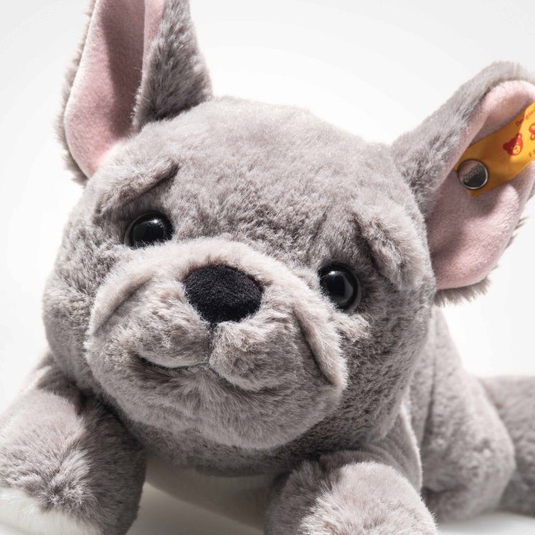 Brie French Bulldog