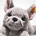 Brie French Bulldog
