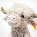 Harper Highland cow