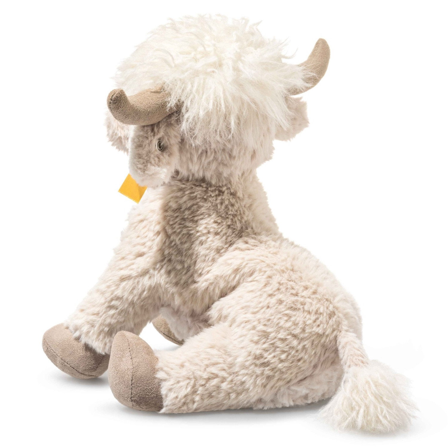 Harper Highland cow