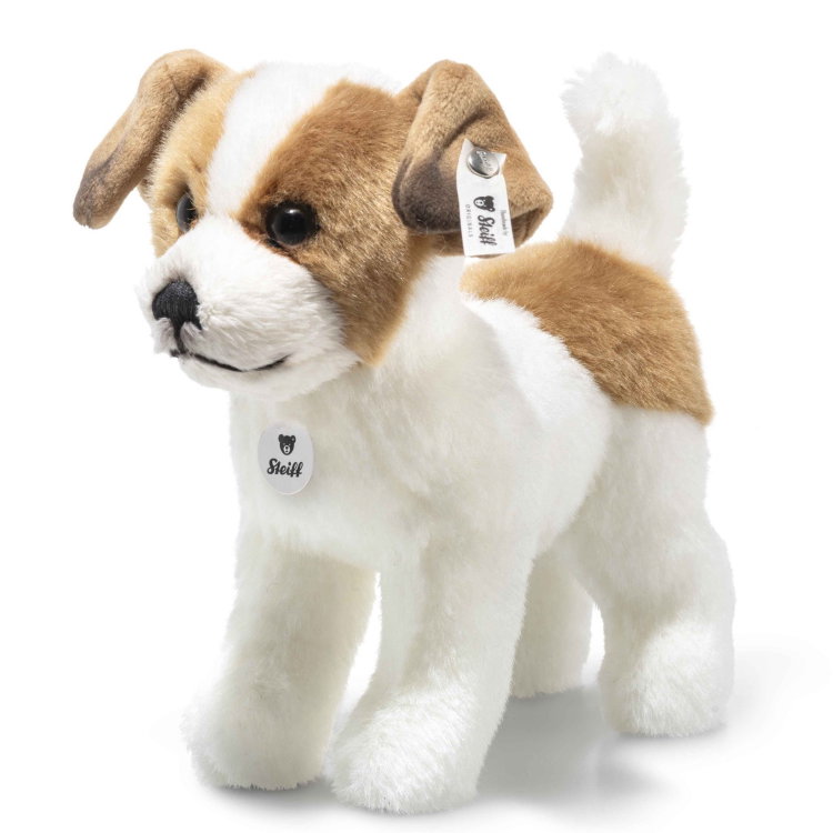 Terrie Dog