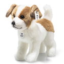 Terrie Dog