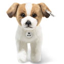 Terrie Dog