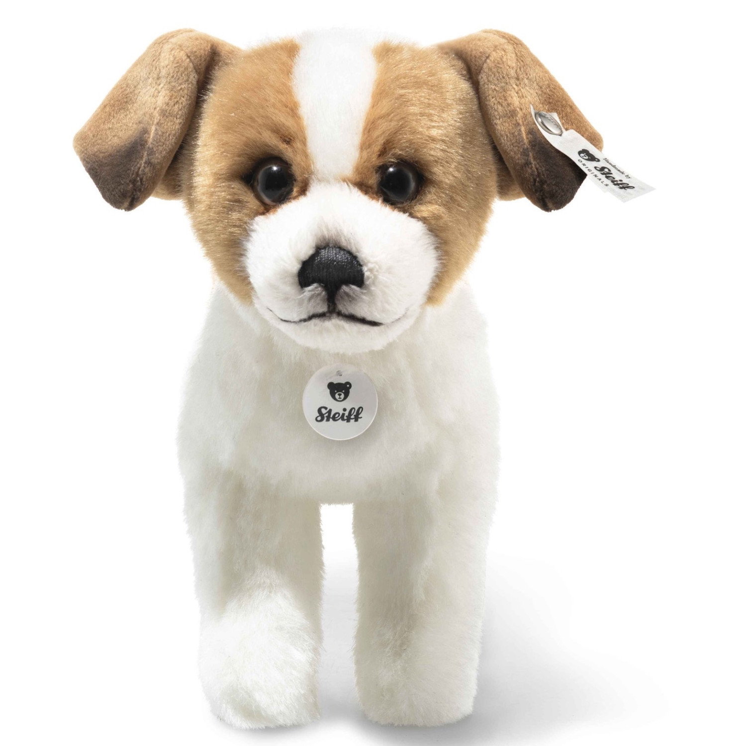 Terrie Dog