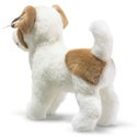 Terrie Dog