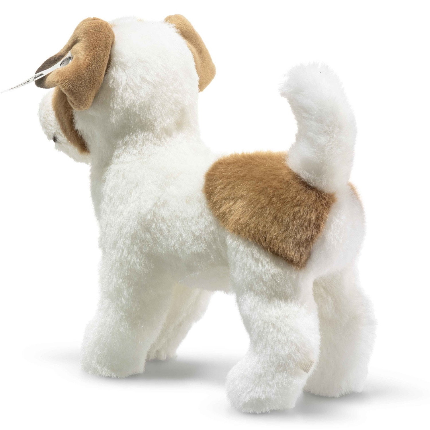 Terrie Dog