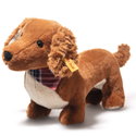 Waldi dachshund