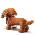 Waldi dachshund