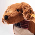 Waldi dachshund