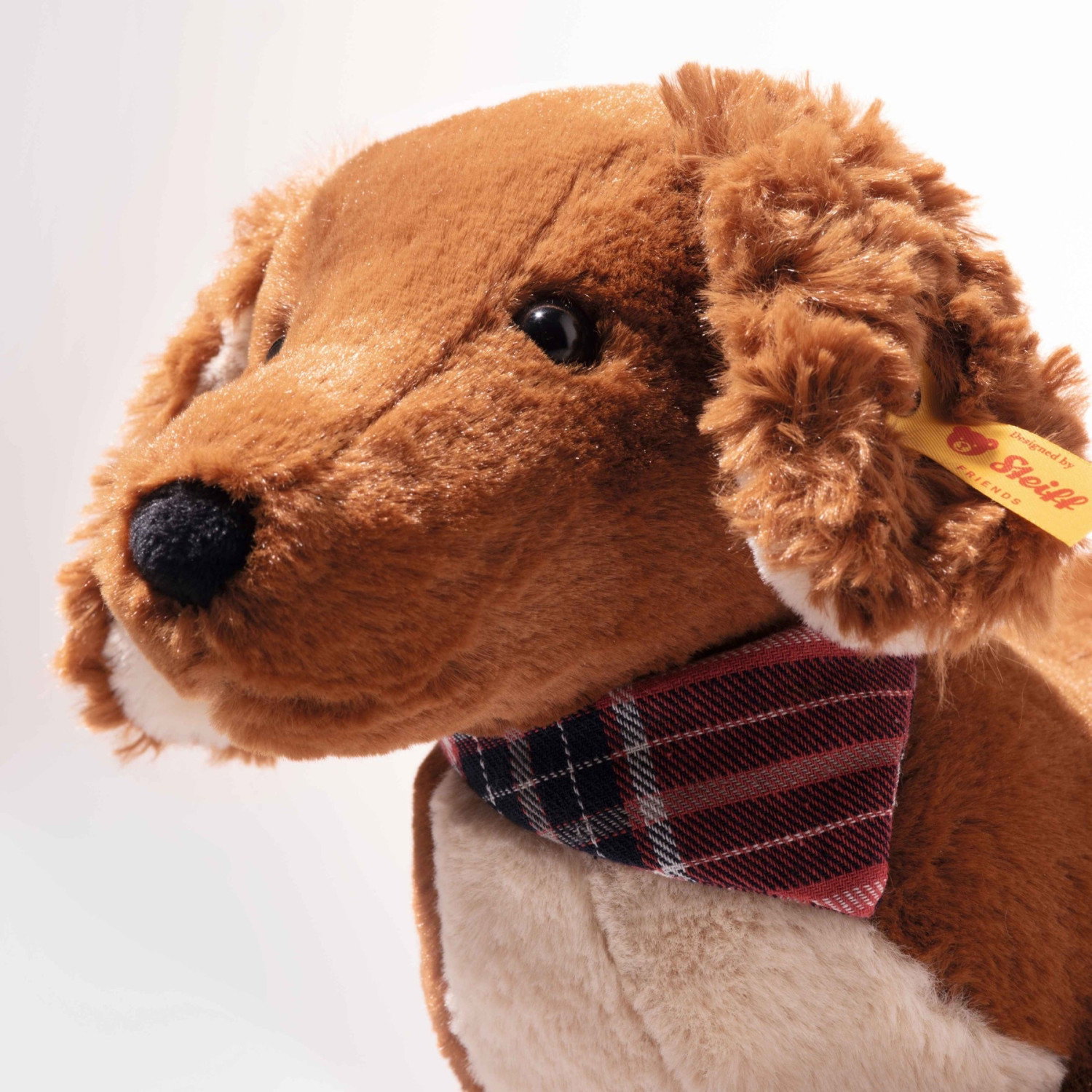 Waldi dachshund