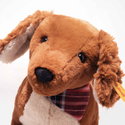 Waldi dachshund
