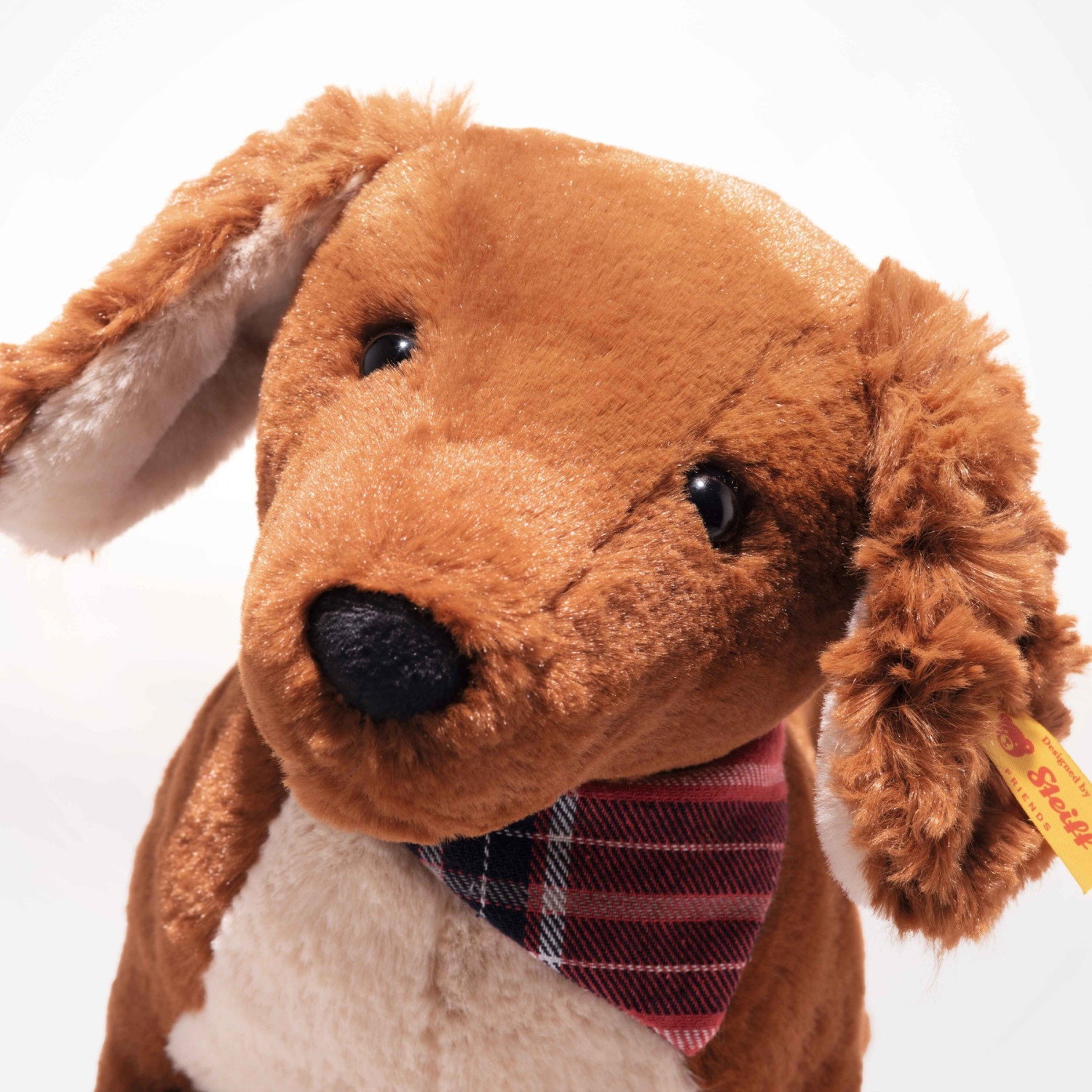 Waldi dachshund