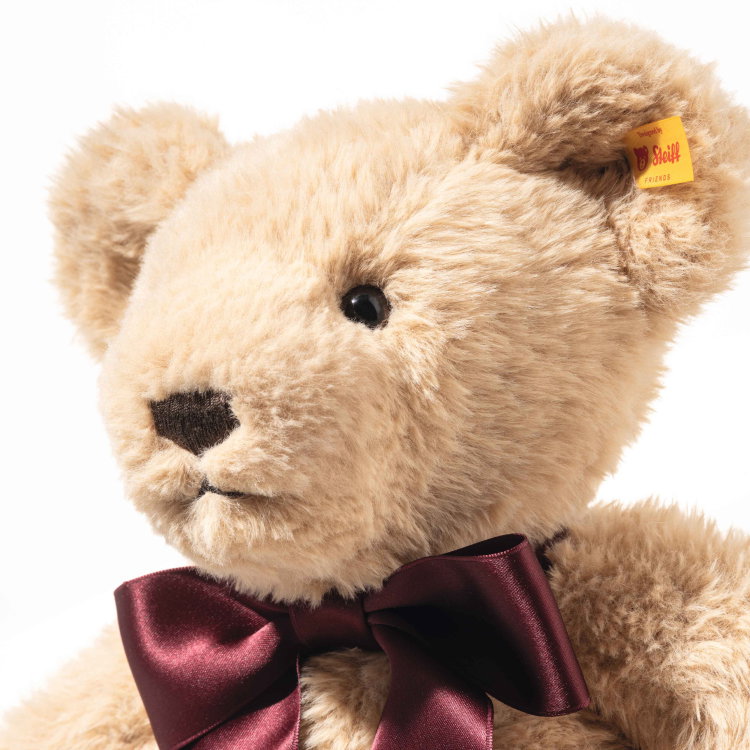 Cosy Year bear 2027
