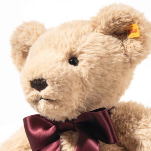 Cosy Year bear 2027