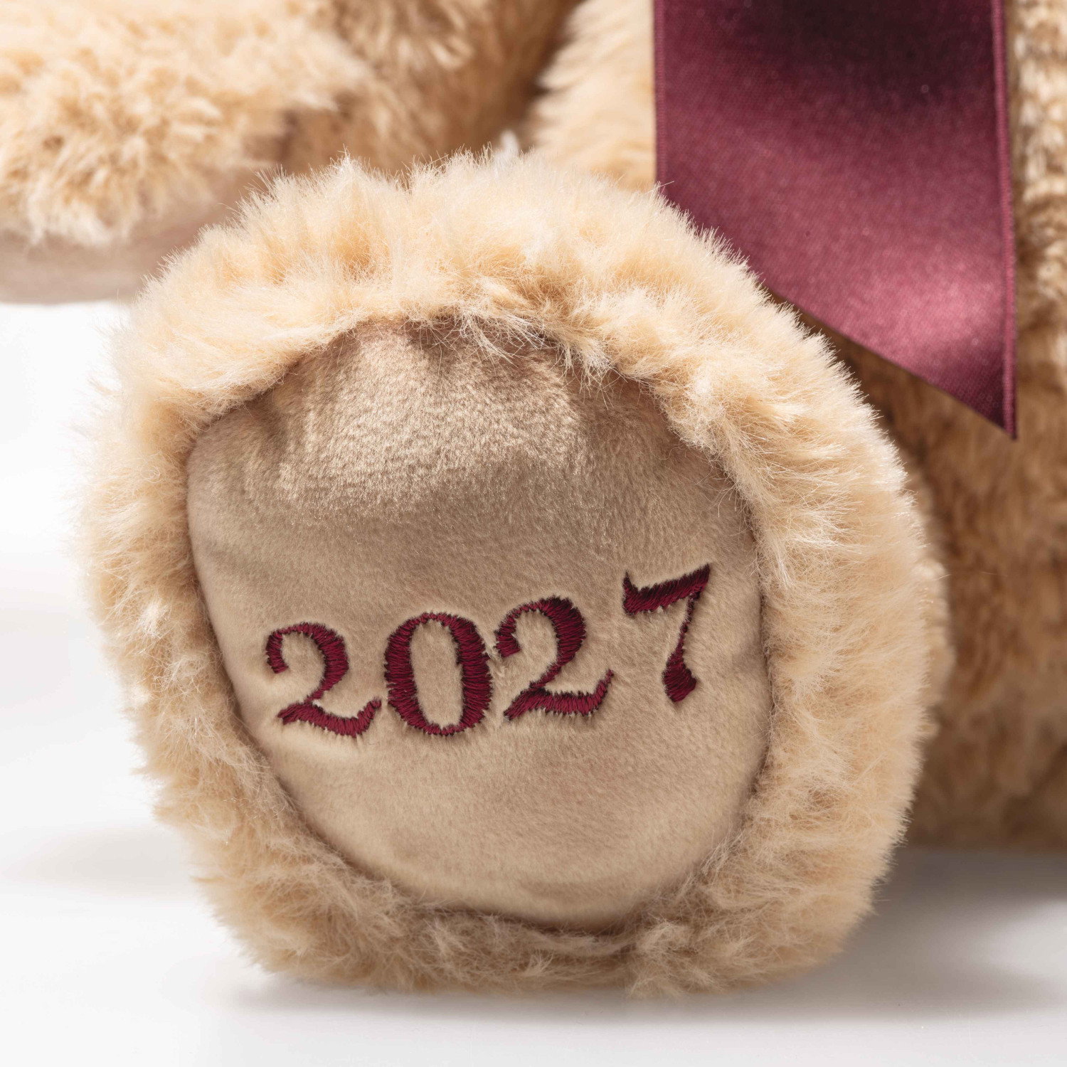 Cosy Year bear 2027
