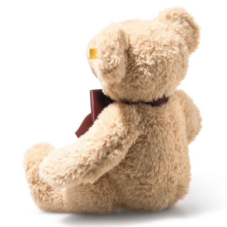 Cosy Year bear 2027