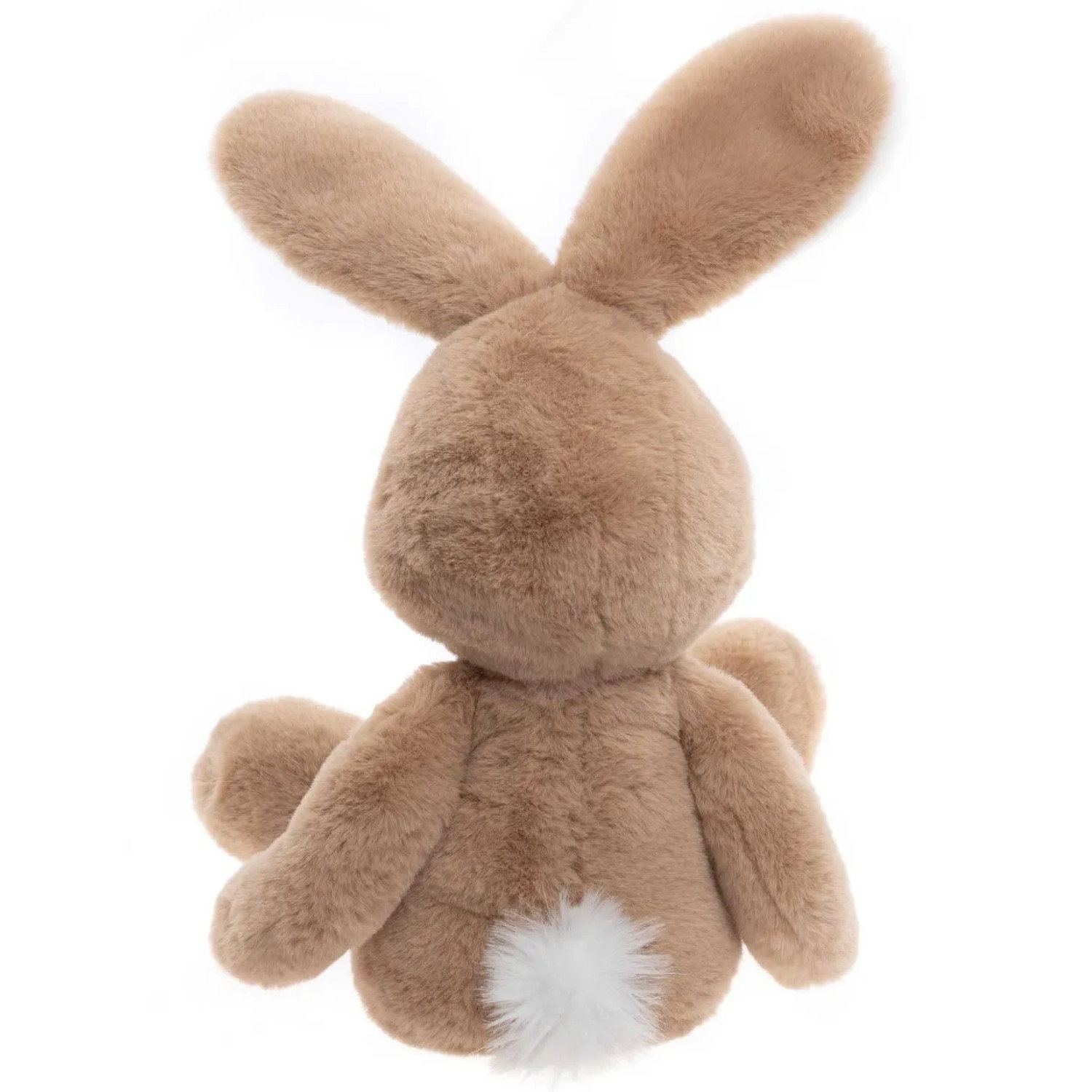 HARRY HARE