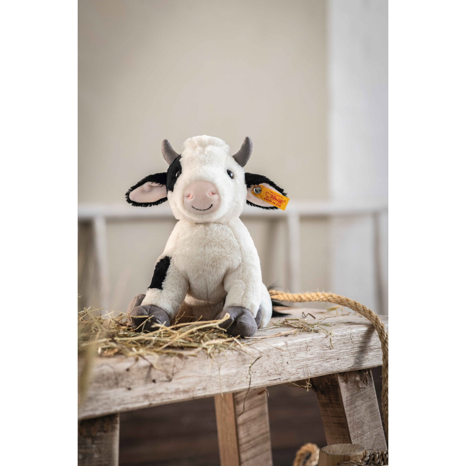 Cobb cow