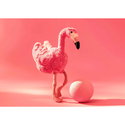 Jill flamingo pink