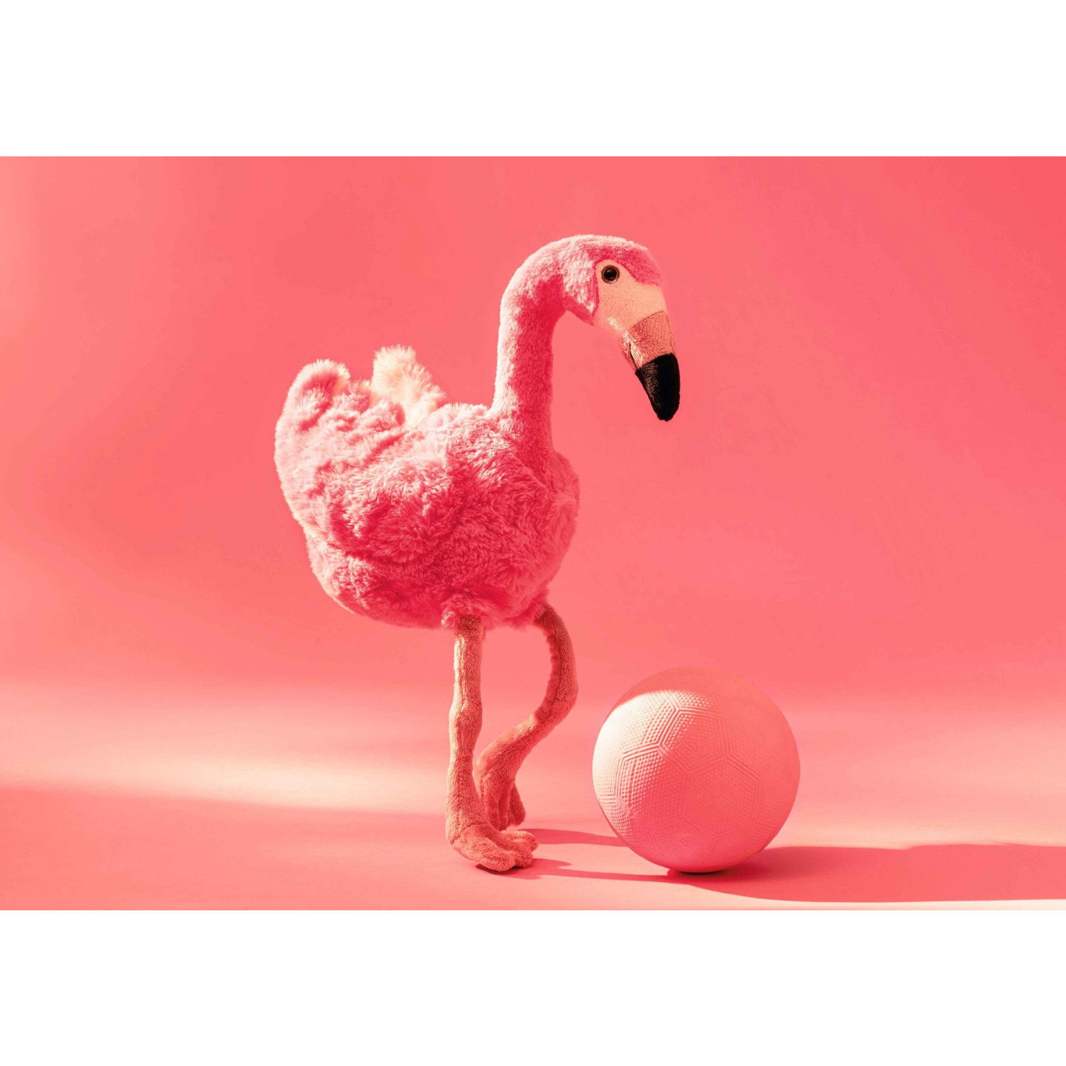 Jill flamingo pink