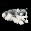 Плюшено куче Хъски Rappa