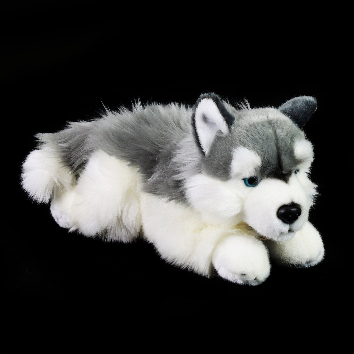 Плюшено куче Хъски Rappa