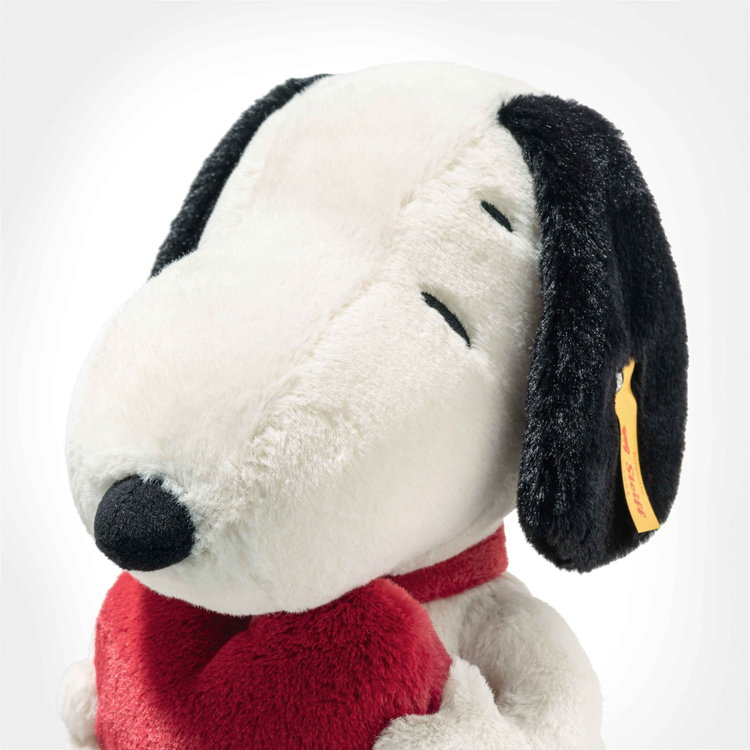 Snoopy Love